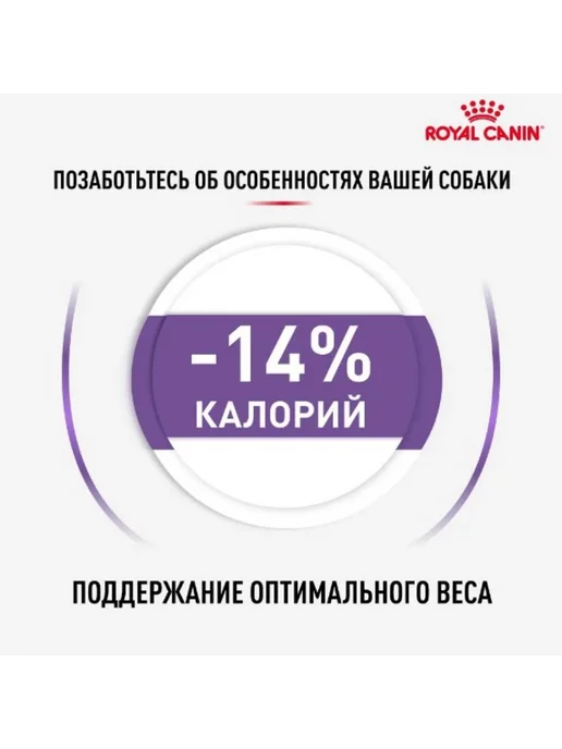 Сухой корм Royal canin Стерилайзд для собак, мелкие, стерилизованные, 3 кг, фото 6