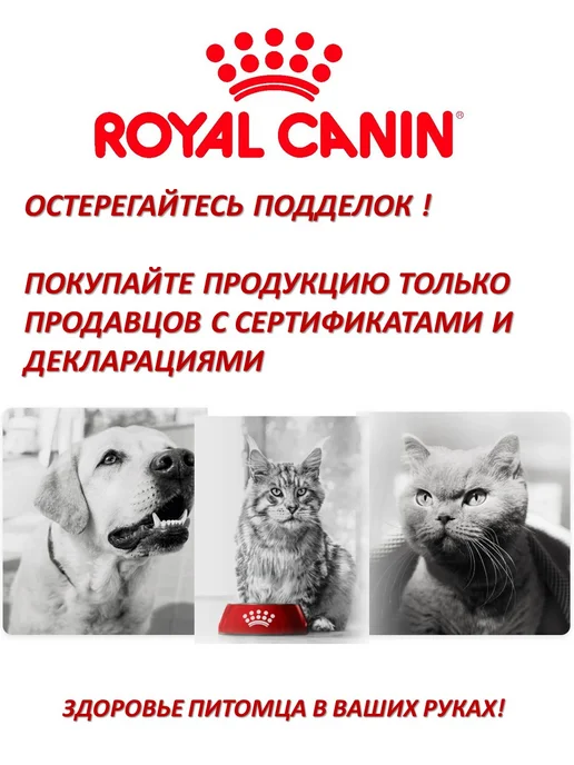 Сухой корм Royal canin Стерилайзд для собак, мелкие, стерилизованные, 3 кг, фото 7