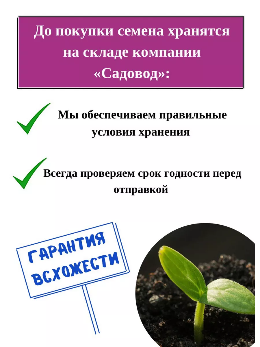 Колеус семена цветов комнатных Шоколадный бархат набор 2 шт Агрофирма  Аэлита 179625514 купить за 195 ₽ в интернет-магазине Wildberries