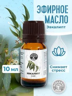 Натуральное эфирное масло эвкалипт для бани и тела Бацькина баня 179692010 купить за 155 ₽ в интернет-магазине Wildberries