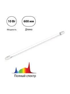 Фитолампа светодиодная, 10 Вт, 600 м, полный спектр InHome 179766049 купить за 309 ₽ в интернет-магазине Wildberries