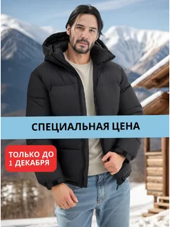 Куртка зимняя с капюшоном INDIWEAR 179771150 купить за 8 614 ₽ в интернет-магазине Wildberries