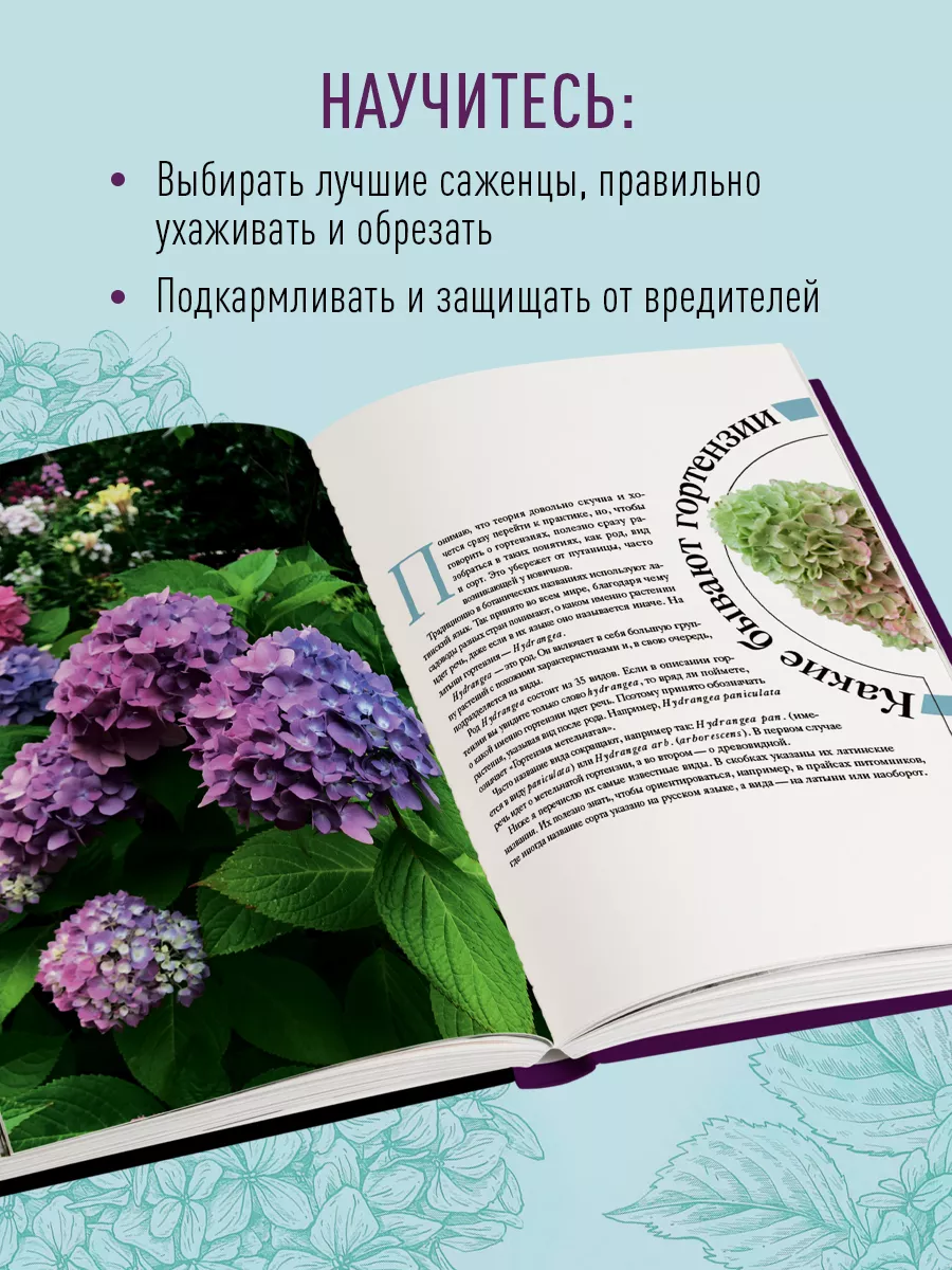 Гортензии в саду. Практический курс Эксмо 179800761 купить за 1 179 ₽ в  интернет-магазине Wildberries