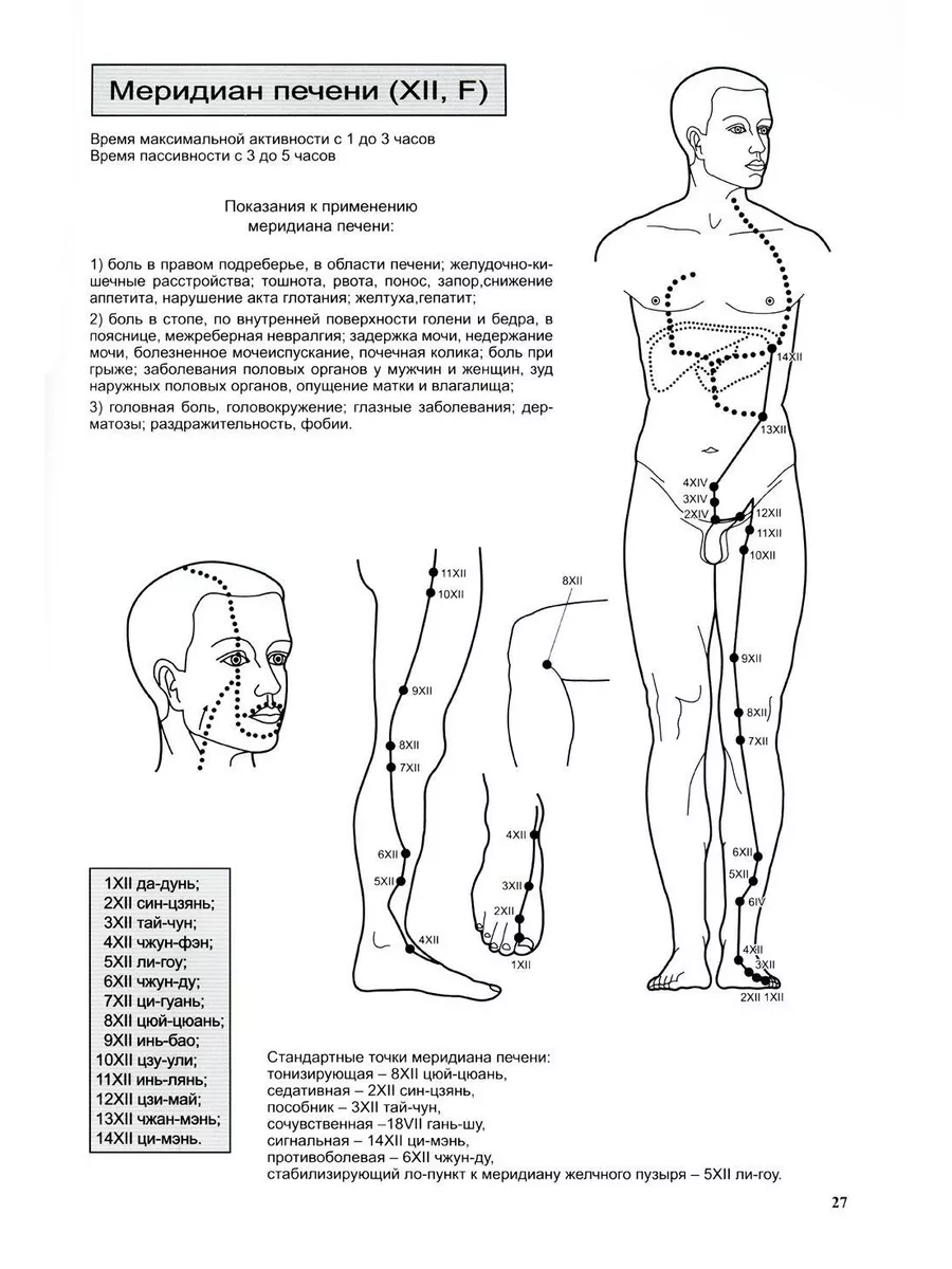 Практическое руководство по рефлексотерапии Амрита-Русь 179817842 купить в  интернет-магазине Wildberries