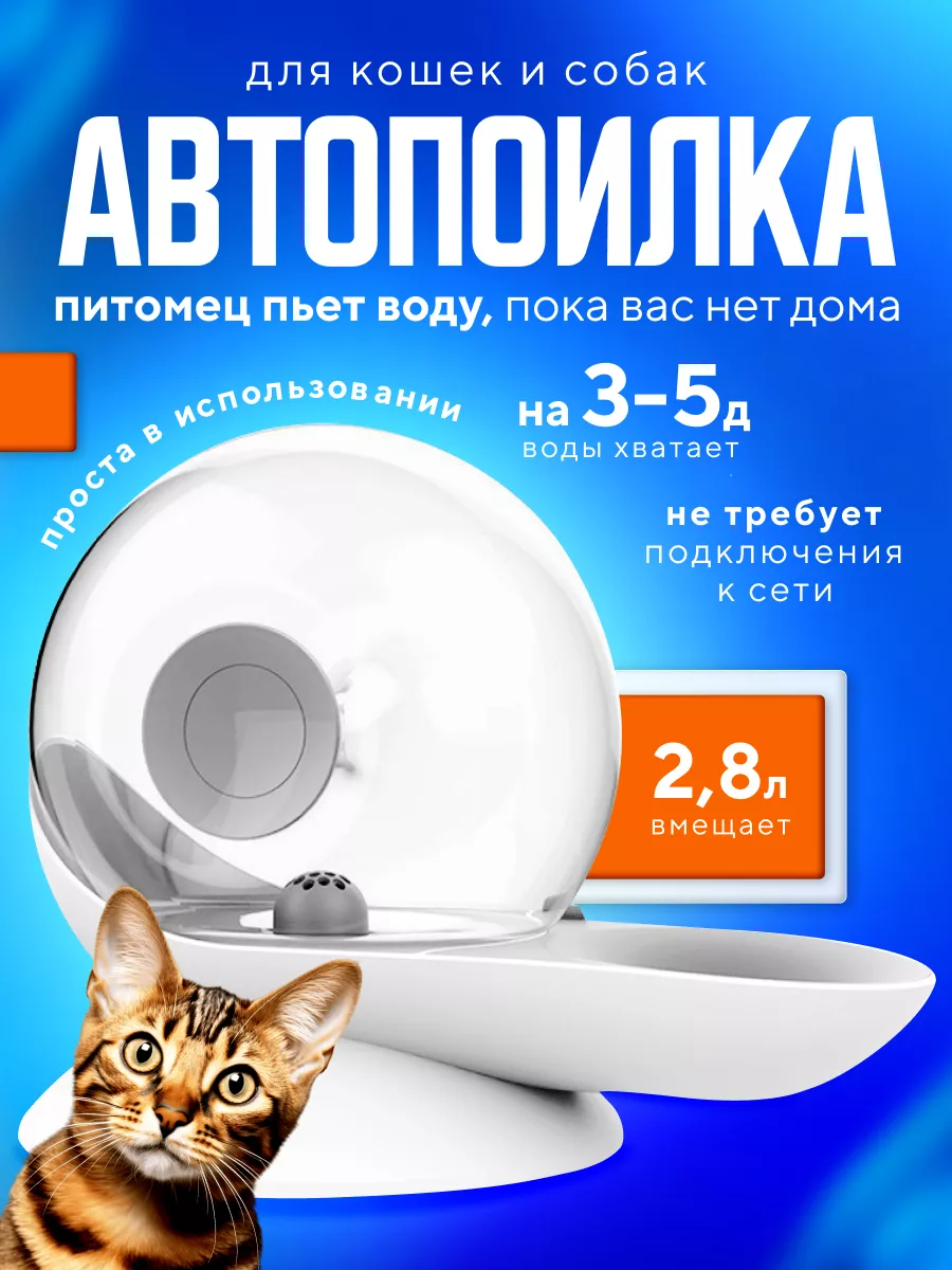 Автоматическая поилка для кошек и собак Animaldey 179822979 купить за 1 859  ₽ в интернет-магазине Wildberries