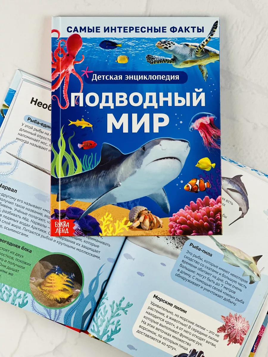 Книжка Энциклопедия Подводный мир Животные акула рыбы БУКВА ЛЕНД 179823261  купить за 439 ₽ в интернет-магазине Wildberries