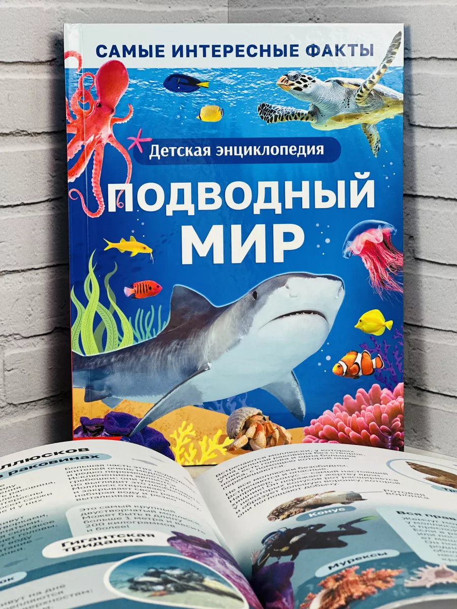 Книжка Энциклопедия Подводный мир Животные акула рыбы БУКВА ЛЕНД 179823261  купить за 439 ₽ в интернет-магазине Wildberries