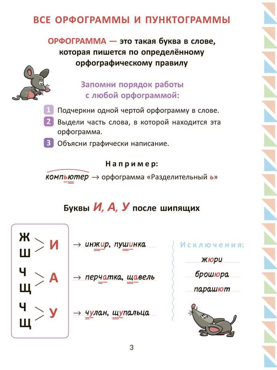 Все изучаемые орфограммы и пунктограммы русского языка, ... ИД ЛИТЕРА  179830896 купить за 599 ₽ в интернет-магазине Wildberries