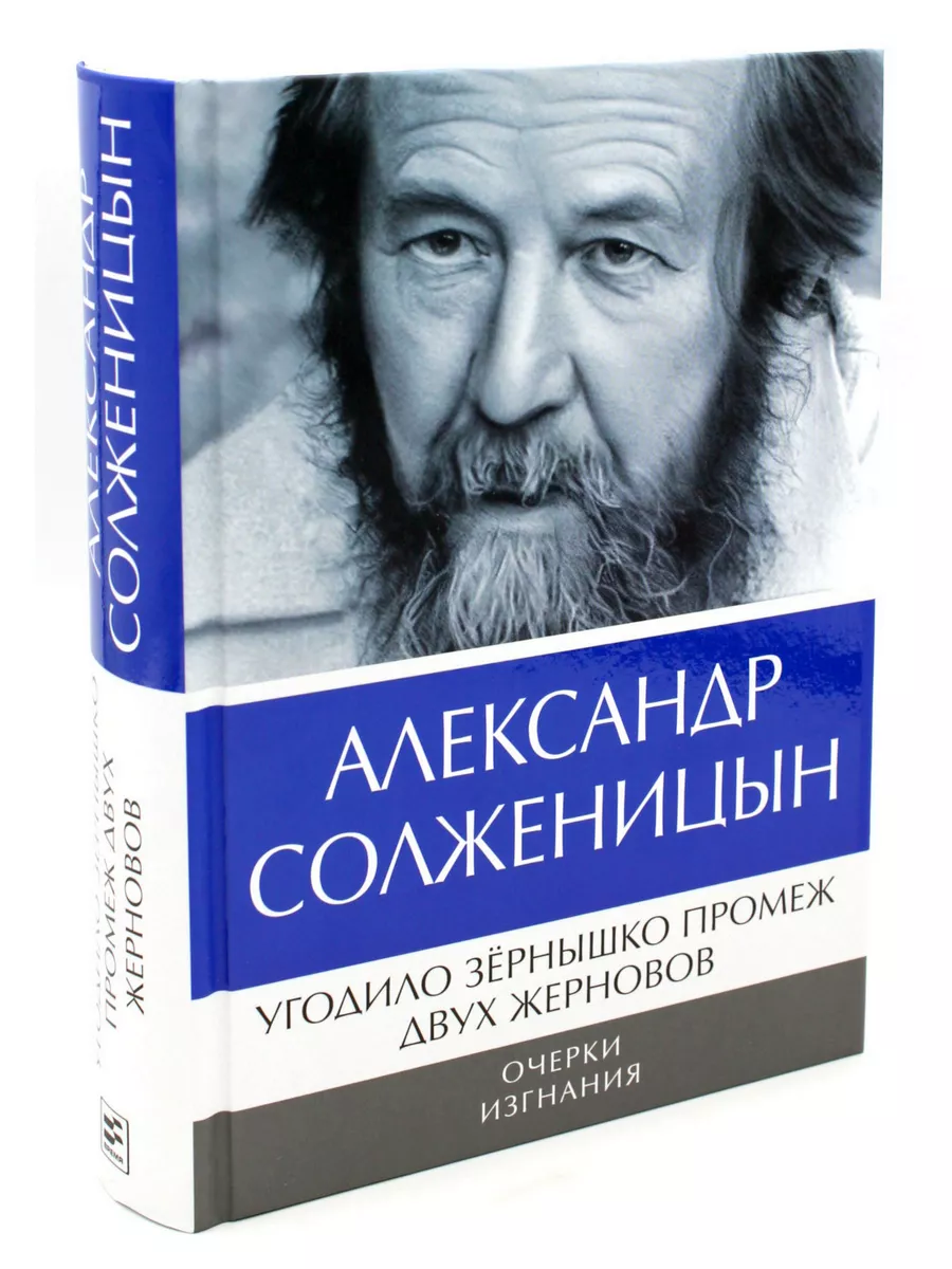 Угодило зернышко промеж двух жерновов: Очерки изгнания Время 179846517  купить за 1 459 ₽ в интернет-магазине Wildberries