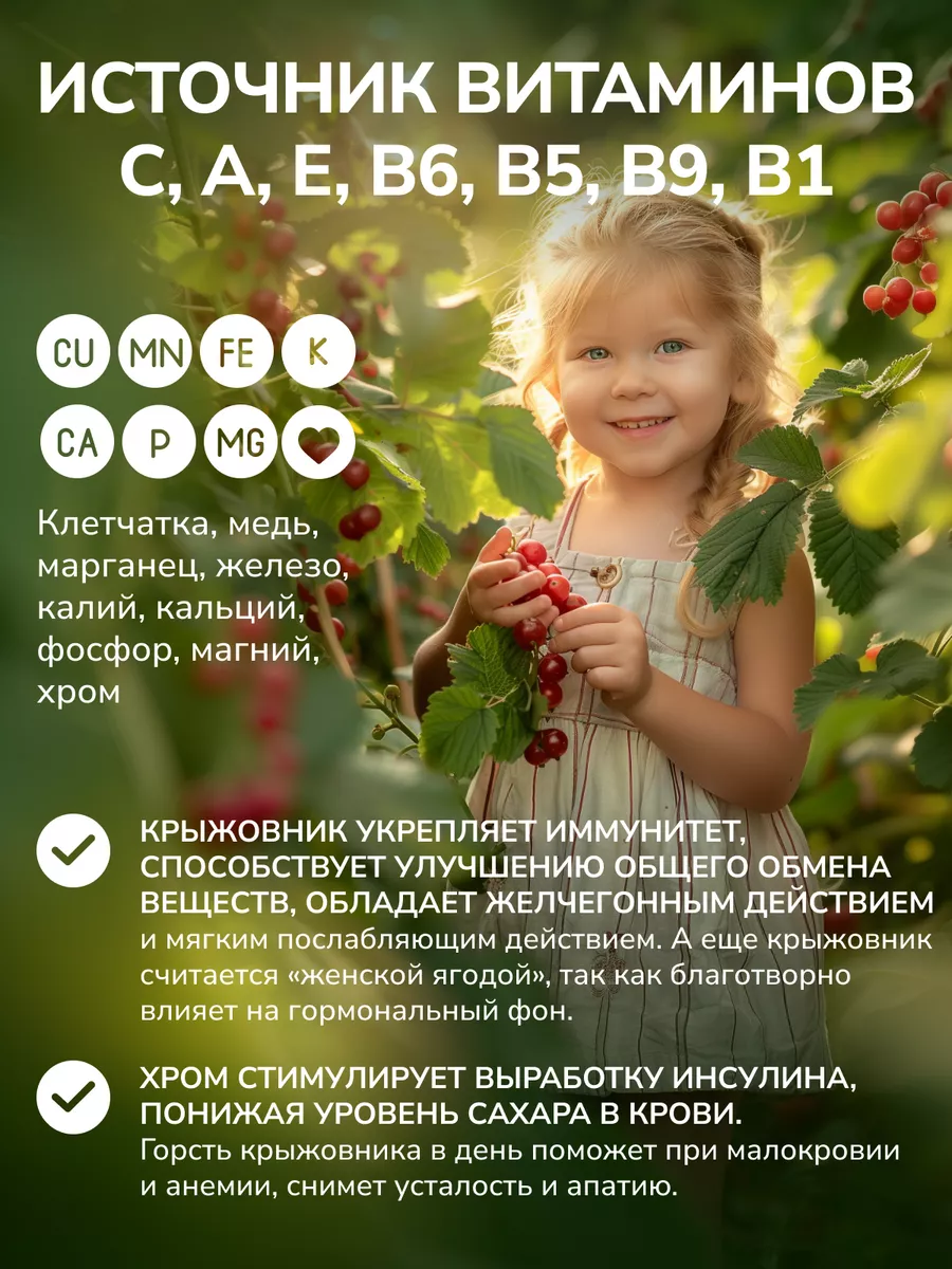 Крыжовник Сириус Garden Seasons 179871251 купить в интернет-магазине  Wildberries