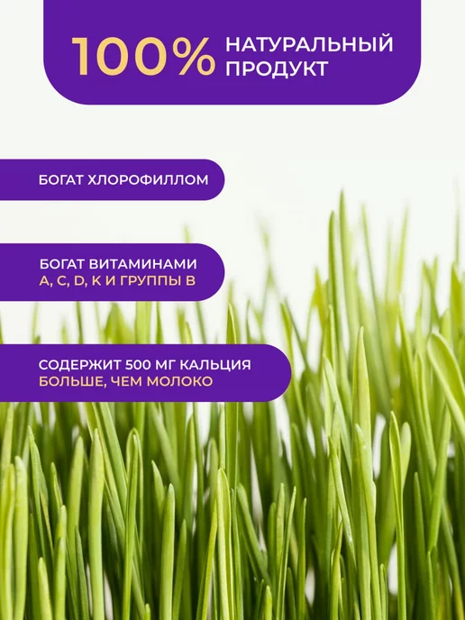 FIOLA Барлейграсс Порошок ростков ячменя, 100 г, 100 г, фото 3