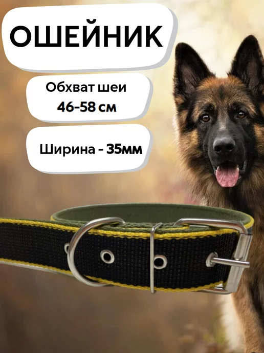 Дрессировка собак в Самаре, Новокуйбышевске и Самарской области - у Вас дома
