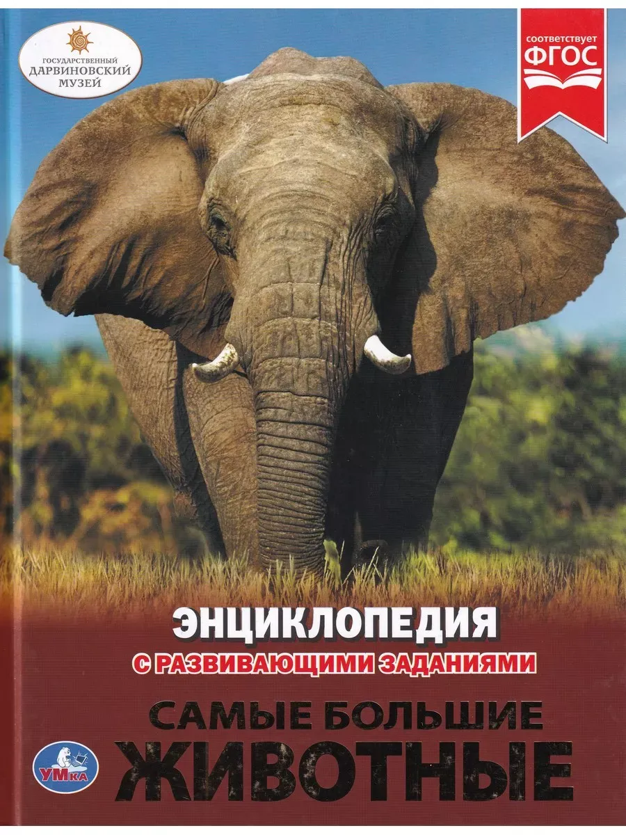 Самые большие животные