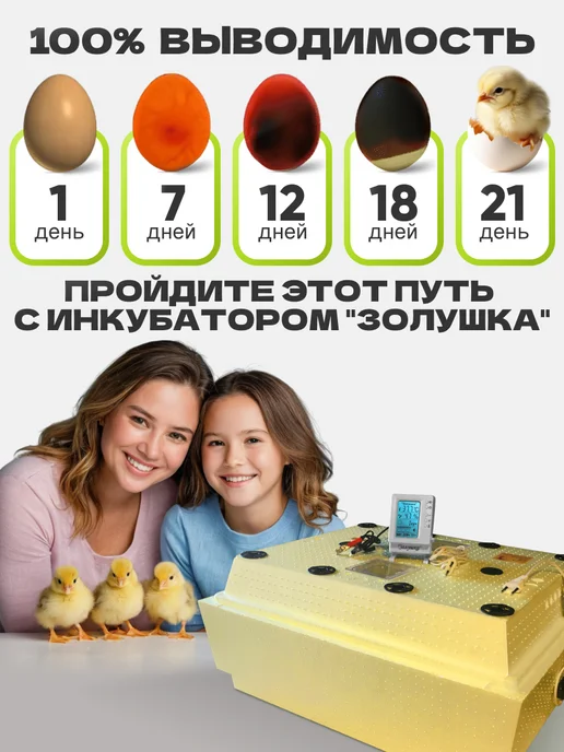 золушка Инкубатор для яиц, вариант, фото 7
