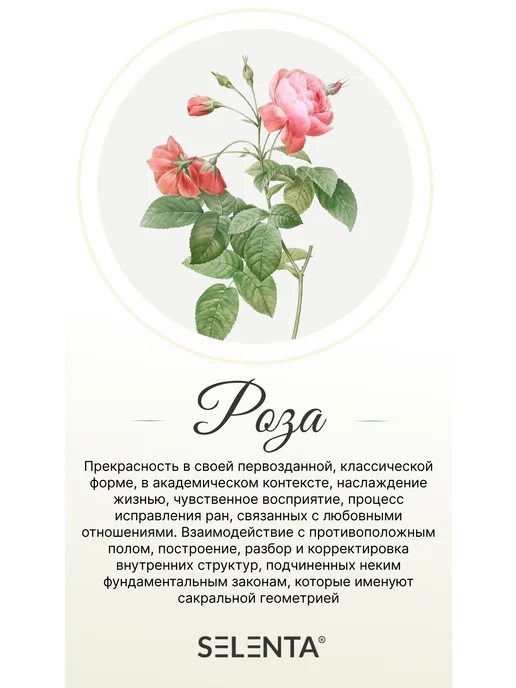 Selenta Эфирное масло Розы Водорастворимое 10мл, 10 мл, фото 7