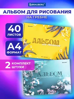 Альбом для рисования на спирали А4 40 листов, 2 штуки Brauberg 179993038 купить за 216 ₽ в интернет-магазине Wildberries