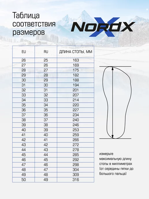 NORDX лыжные ботинки SKIBO, вариант, фото 2