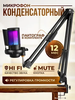 Конденсаторный USB микрофон c пантографом ENVONIX 179995468 купить за 2 451 ₽ в интернет-магазине Wildberries