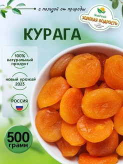 Курага медовая Таджикистан 500 гр Золотая бодрость 180016786 купить за 177 ₽ в интернет-магазине Wildberries