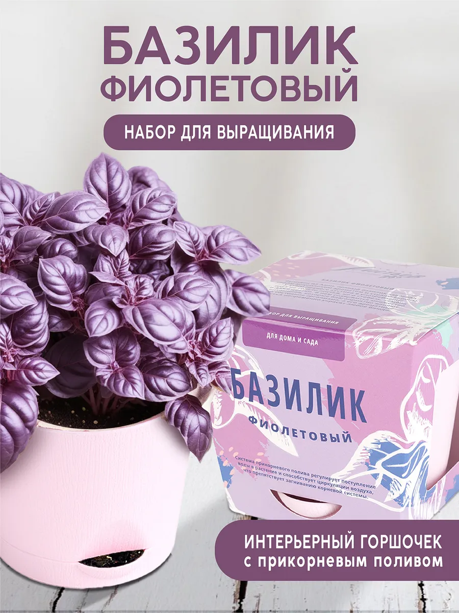 Базилик Набор для выращивания растений