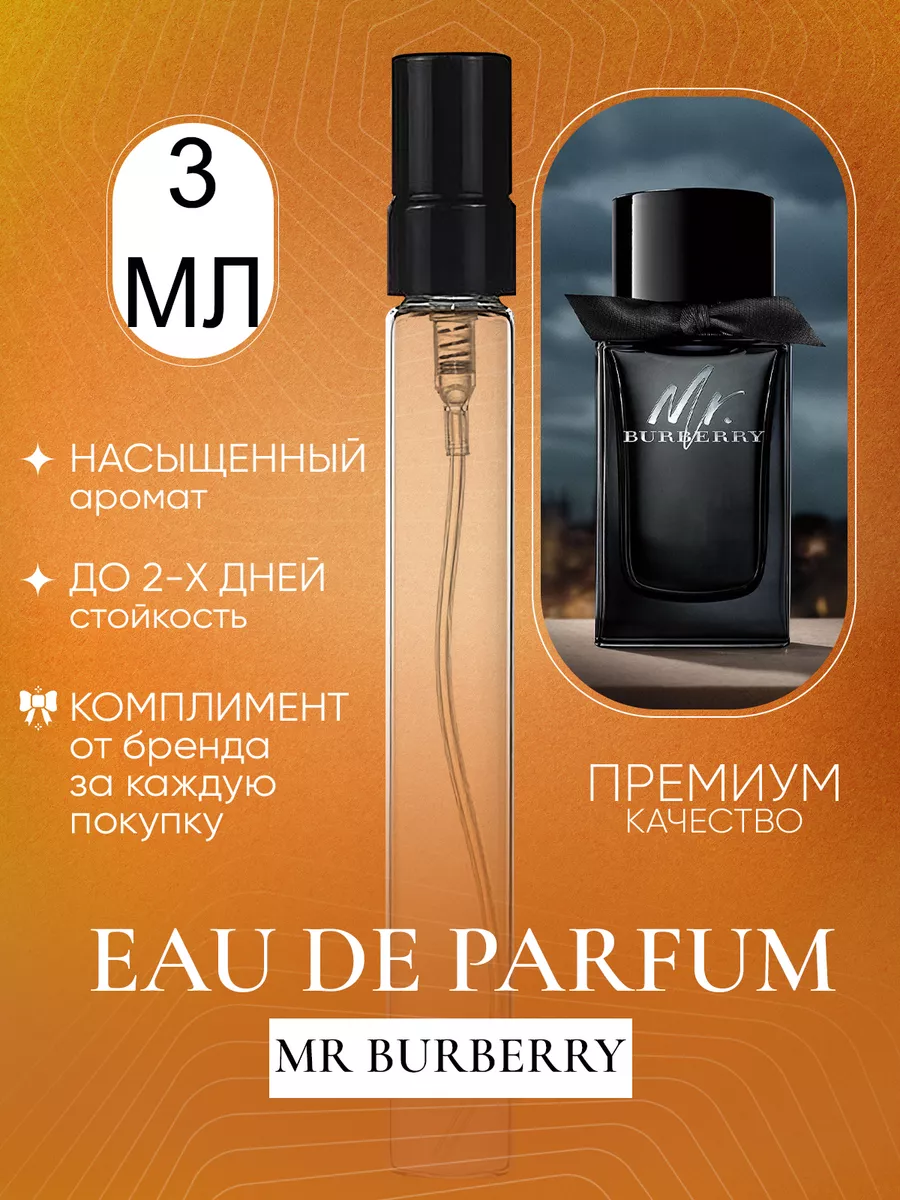 Mr Burberry Eau de Parfum Petite Boutique 180210286 173 Wildberries