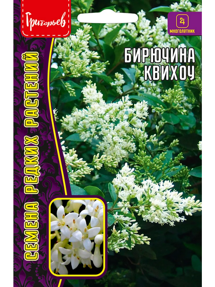 Семена Бирючина Квихоу (Ligustrum quihoui) 10шт