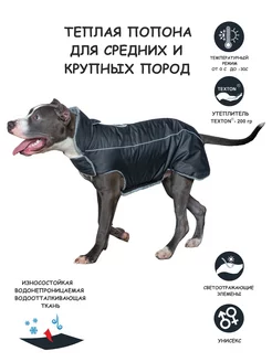 Теплая попона для собак для средних и крупных пород собак DOGMODA 180283683 купить за 2 310 ₽ в интернет-магазине Wildberries