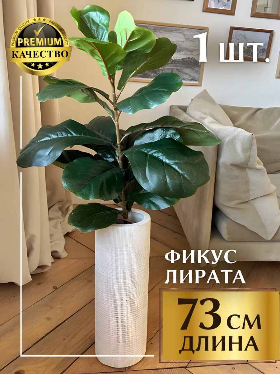 Фикус Лирата напольный цветок для кашпо MintOnly 180296882 купить за 1 305  ₽ в интернет-магазине Wildberries