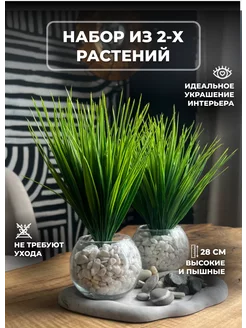 Искусственные цветы растения в горшке кашпо декор дома 2шт GLAZUNOVA HOME 180333904 купить за 592 ₽ в интернет-магазине Wildberries