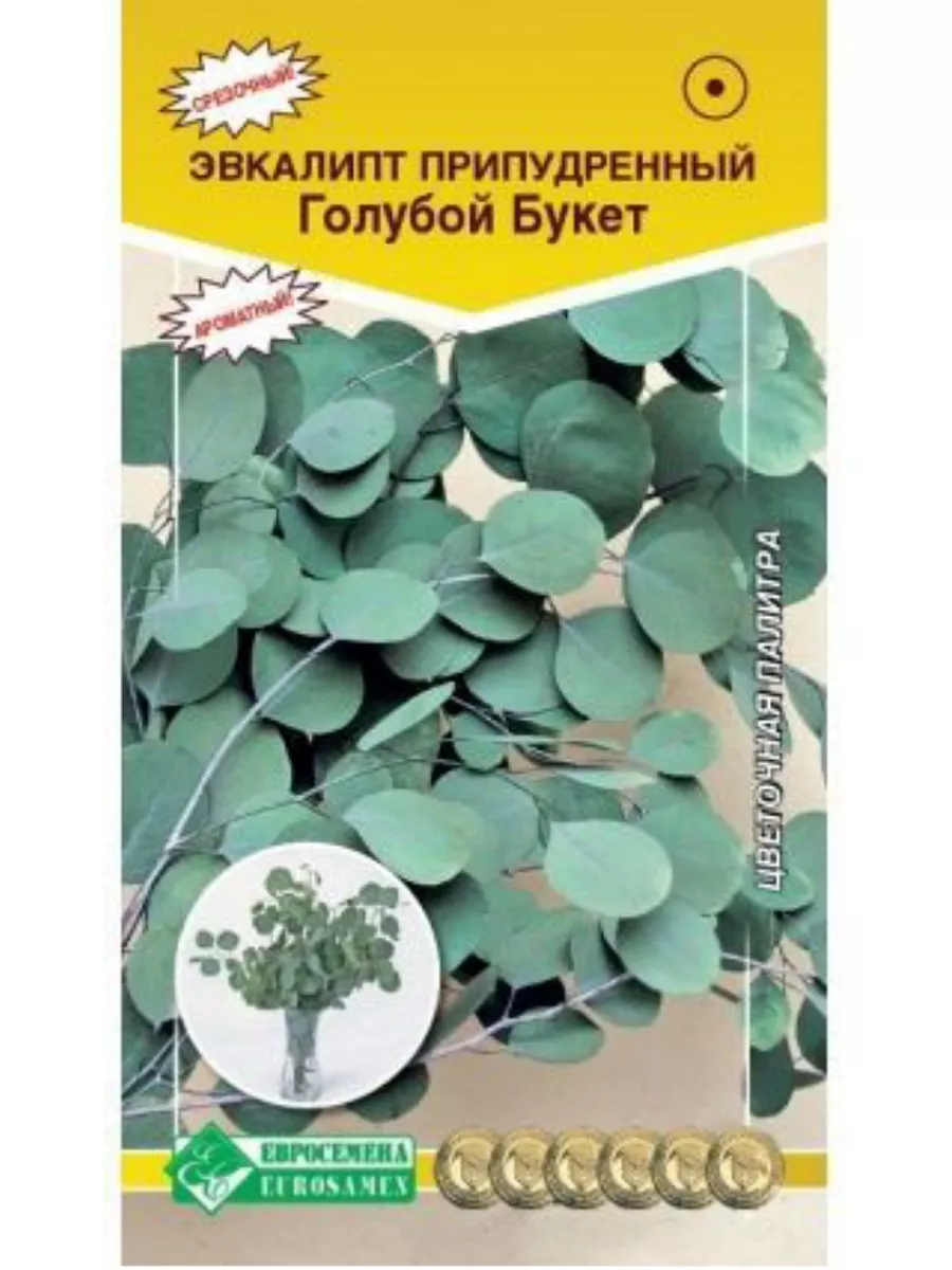 Эвкалипт припудренный ГОЛУБОЙ БУКЕТ/ 3 семени х 1 упаковка / Евросемена  180379555 купить за 169 ₽ в интернет-магазине Wildberries