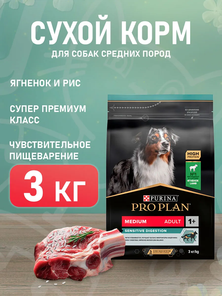 рентген собаки порно Корм для собак сухой Sensitive для средних пород 3 кг PRO PLAN 180383883 купить за 2 173 ₽ в интернет-магазине Wildberries