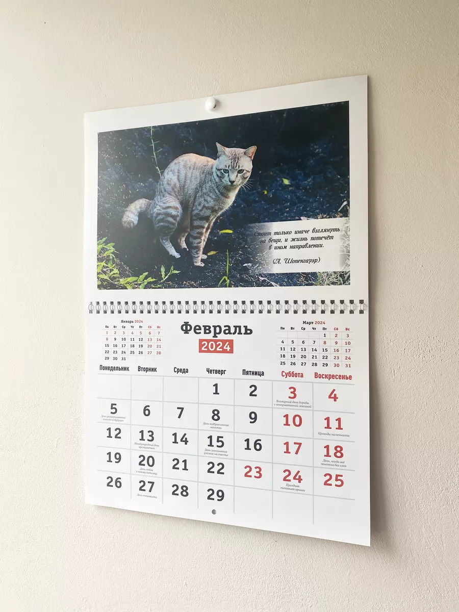 Прикольный Календарь Какающие коты 2024 год Los Vectors 180450563 купить за  319 ₽ в интернет-магазине Wildberries