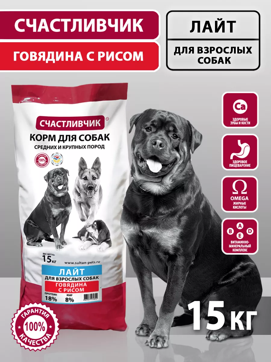 рентген собаки порно 