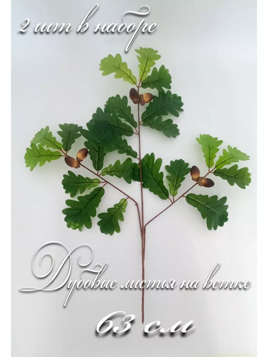 Дубовые листья на ветке Plants for home 180494249 купить в  интернет-магазине Wildberries