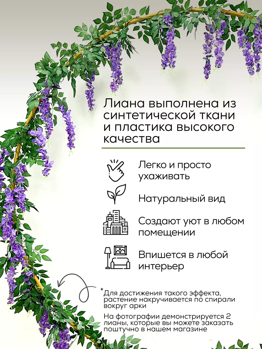 Глициния (WISTERIA).Часть 2 - Страница 19 - Форум садоводов Твой Сад