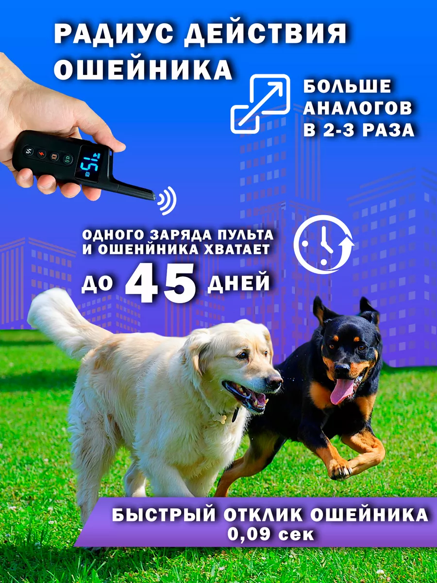 Электронный ошейник для дрессировки двух собак QD-360 DOG-STALKER 180502015  купить за 14 705 ₽ в интернет-магазине Wildberries