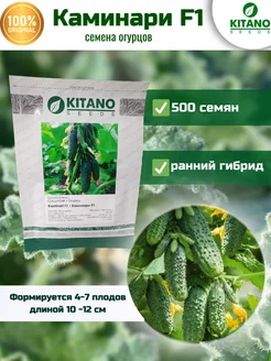 Семена огурец Каминари F1 (KS 90 F1) 500шт Kitano Seeds 180516518 купить за 2 034 ₽ в интернет-магазине Wildberries