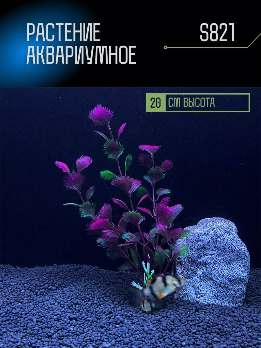 Растение для аквариума искусственное S821 ZooAqua 180631148 купить за 167 ₽  в интернет-магазине Wildberries