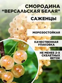 Агрофирма Поиск - каталог 2022-2023 в интернет магазине WildBerries.ru