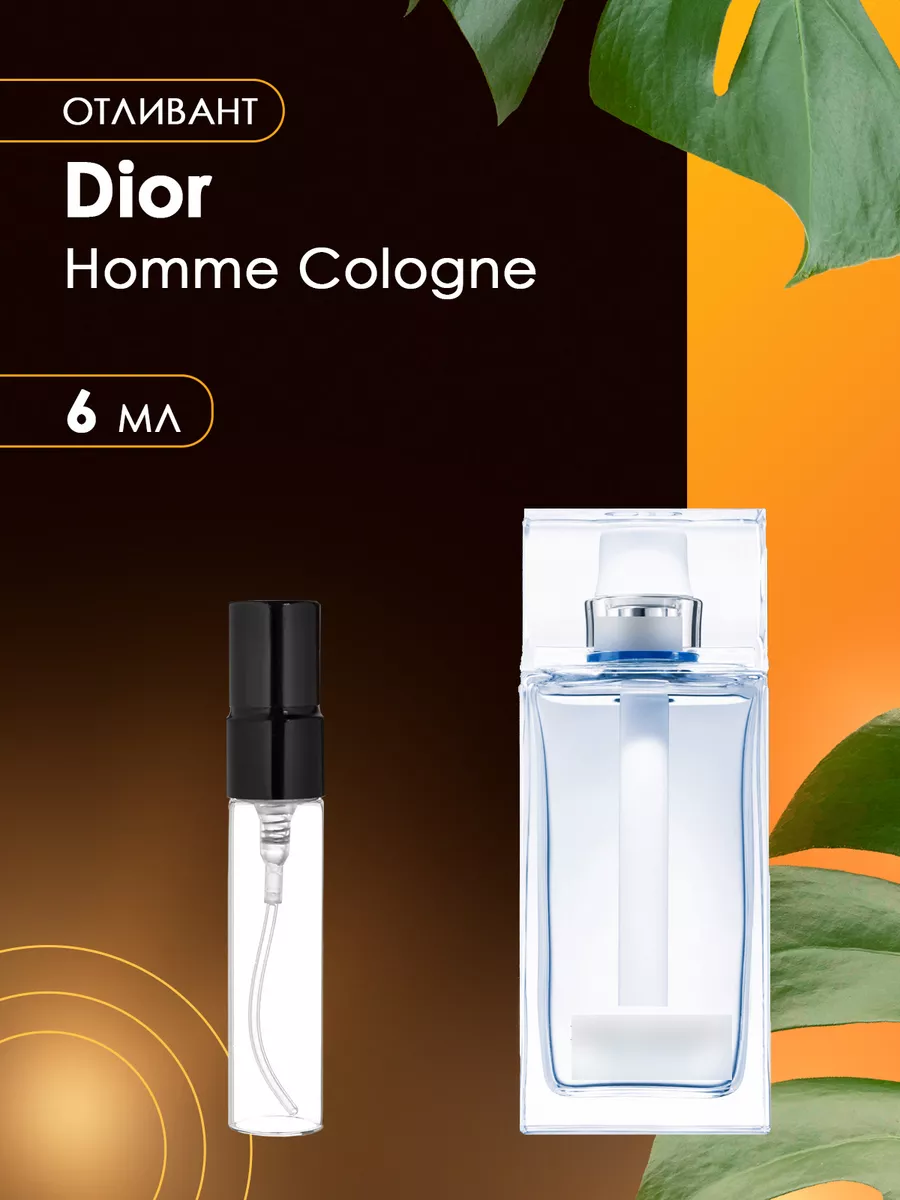 Dior homme parfum ebay best sale