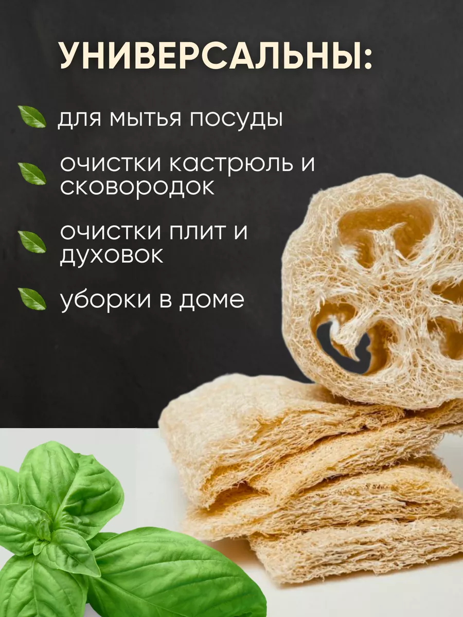 Натуральные губки для посуды из люфы EcoORGANIC 180852247 купить за 359 ₽ в  интернет-магазине Wildberries