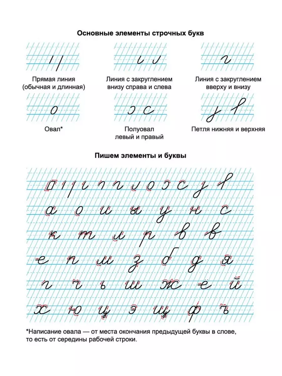 Тетрадь школьная в линейку косую 5 мм 12 листов Пишу красиво! 180878888  купить за 1 305 ₽ в интернет-магазине Wildberries