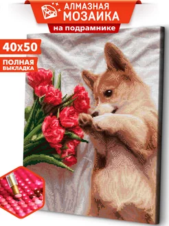 Корги с цветами Собачки Алмазная мозаика на подрамнике 40х50 Art sensation 180886032 купить за 452 ₽ в интернет-магазине Wildberries