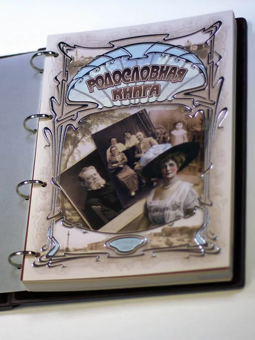 Книжный дом Бекетова Родословная книга Нефрит (А4) в подарочной упаковке, зеленый, фото 5