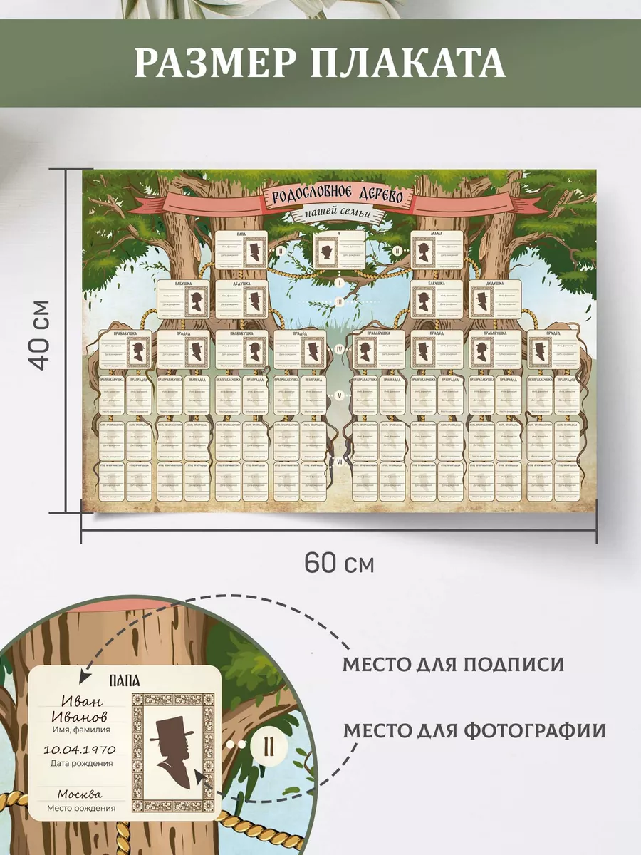 Плакат Родословное древо Выручалкин 180952634 купить за 331 ₽ в  интернет-магазине Wildberries