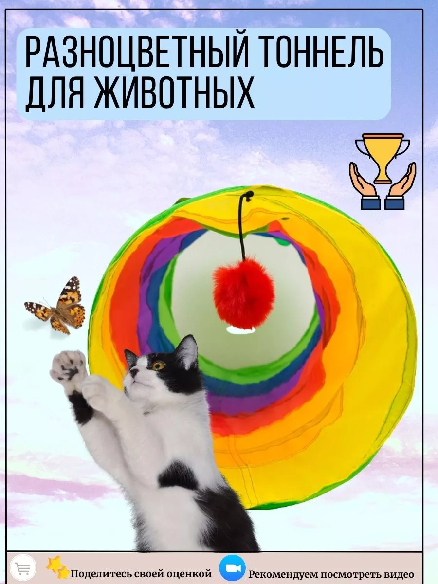 игрушка для животных Pet Accessories and Products 180994897 купить за 378 ₽  в интернет-магазине Wildberries