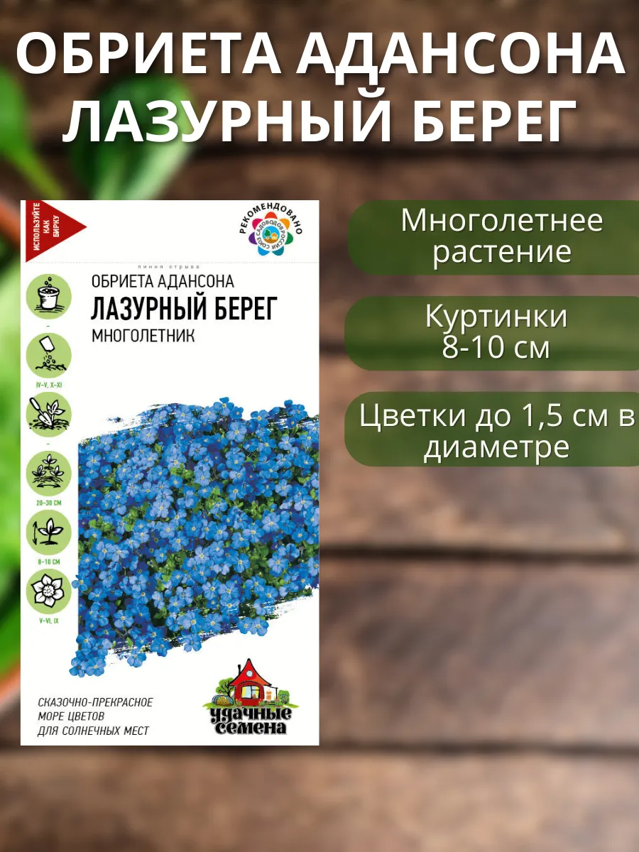 Семена цветов обриеты Гавриш 180998002 купить за 175 ₽ в интернет-магазине  Wildberries