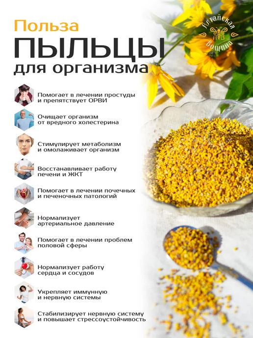 Алтайская Вощина Пыльца пчелиная натуральная 100 грамм, вариант, фото 2