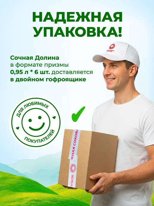 Сочная долина Напиток Апельсин Манго Мандарин 0,95 л х 6 шт, 0,95 л, 6 шт, фото 6