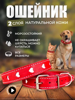 Ошейник для собак и кошек YourPetStore 181111937 купить за 335 ₽ в интернет-магазине Wildberries